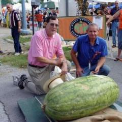 The largest watermelon in the world: record holders from different countries for growing giant berries
